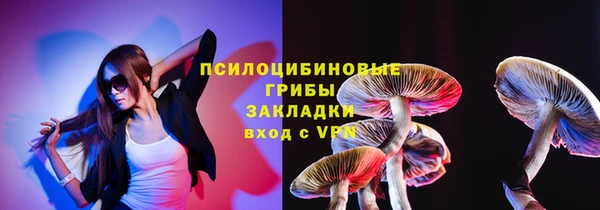 сатива Болхов