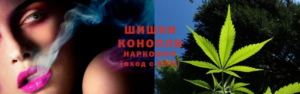 дживик Россошь