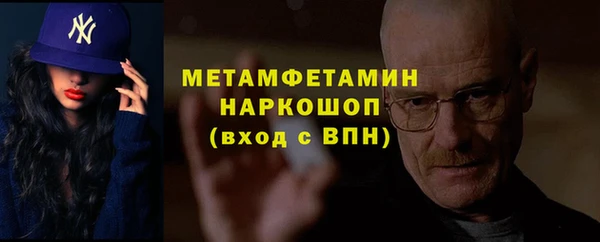ГАЛЛЮЦИНОГЕННЫЕ ГРИБЫ Болотное