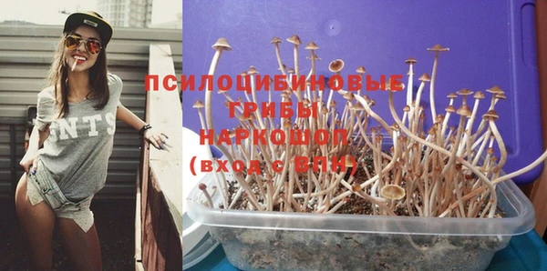 стаф Сатка