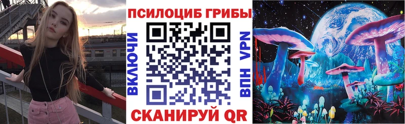 Галлюциногенные грибы Magic Shrooms  Купить  Заволжье 