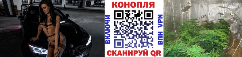 Купить закладки  Заволжье  Шишки марихуана семена 
